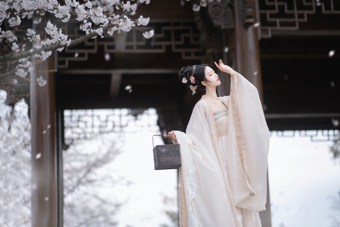 离婚律师 封面